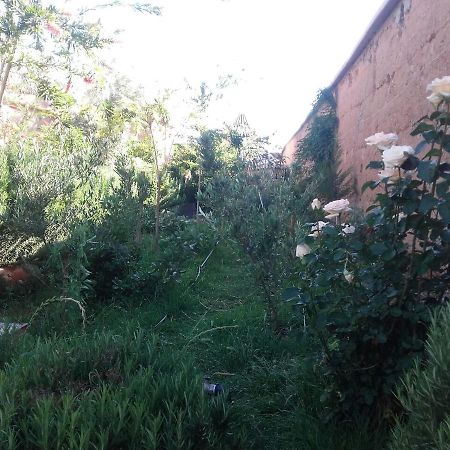 Auberge Toda Aït Igad Esterno foto